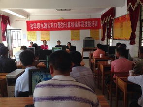 盘龙区双龙街道团工委举办松花坝水源区对口帮扶计算机操作员技能培训，助力水源区居民技能提升与就业发展