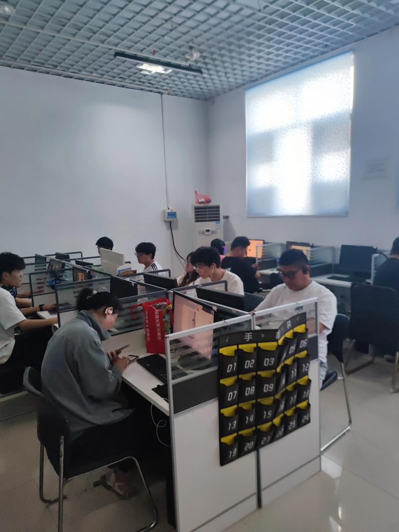 凉山越西学电脑办公软件培训班费用解析 如何选择性价比最高的课程？