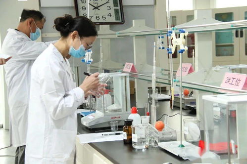 食品检验同台竞技，守护舌尖上的安全——平阴县第四届职业技能大赛之农产品食品检验员竞赛成功举办